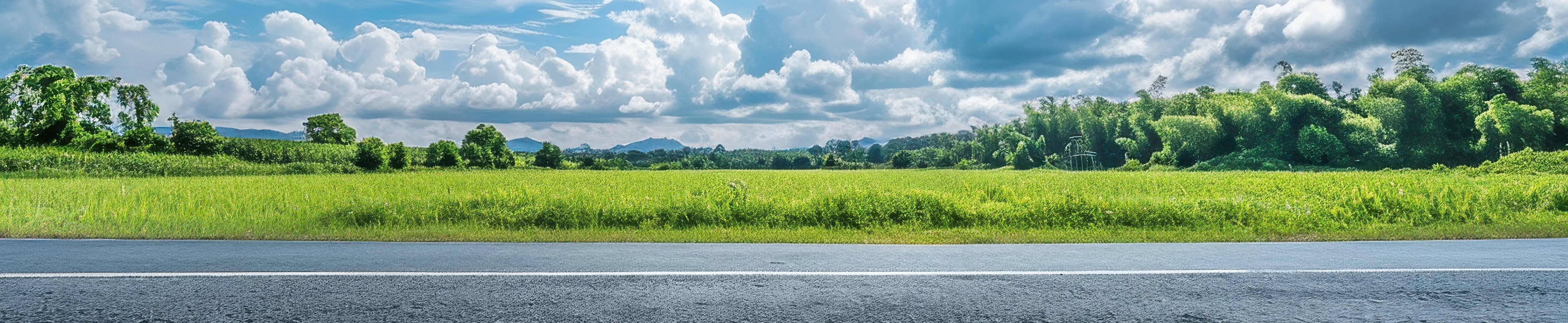Roadside Scenery